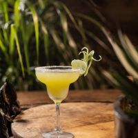 Virgin Margarita